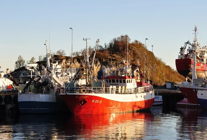 NINA IREN General Cargo IMO 7814280 photo 5