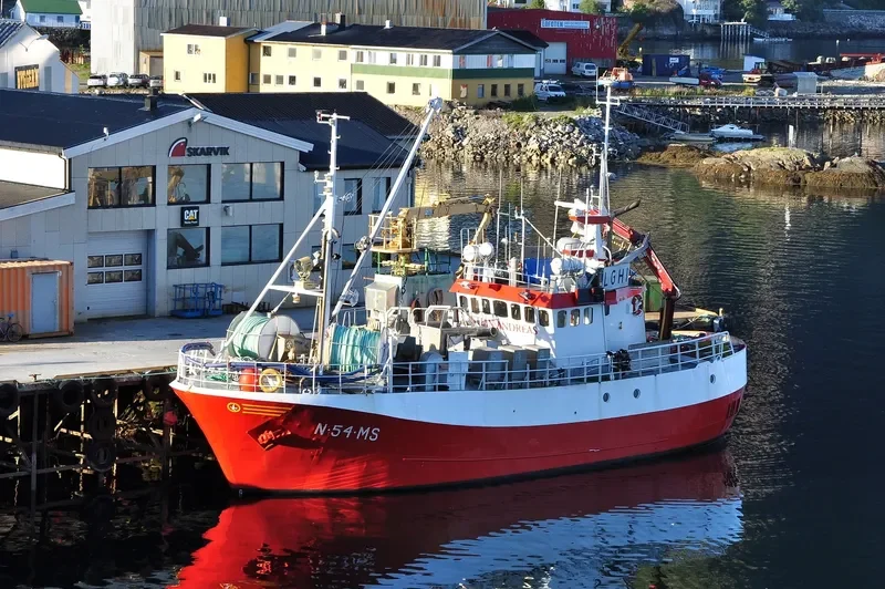 NINA IREN General Cargo IMO 7814280 photo 10