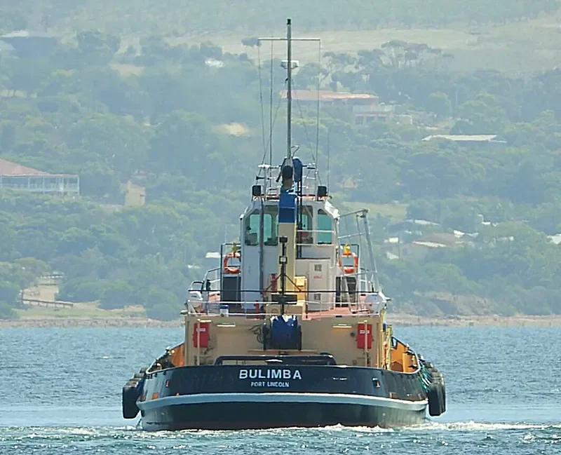 BULIMBA General Cargo IMO 7815727 photo 9