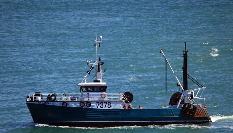 GALATEA II General Cargo IMO 7816197 photo 9