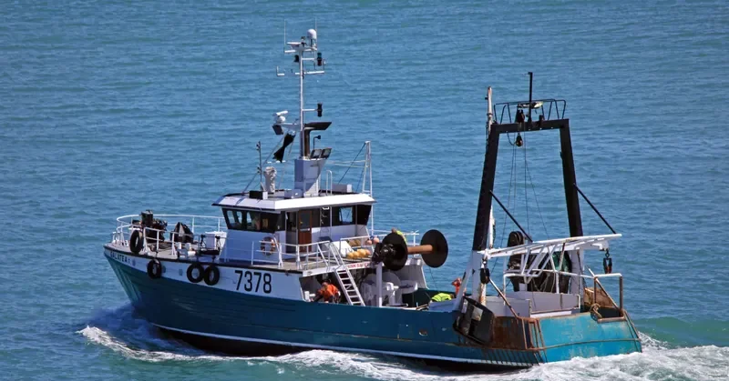 GALATEA II General Cargo IMO 7816197 photo 10