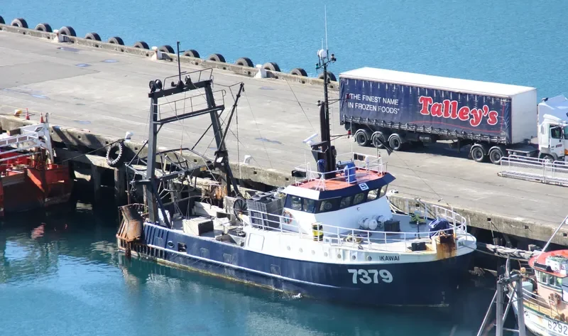 IKAWAI General Cargo IMO 7816202 photo 2