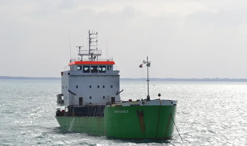 PANTAGRUELE General Cargo IMO 7816288 photo 3
