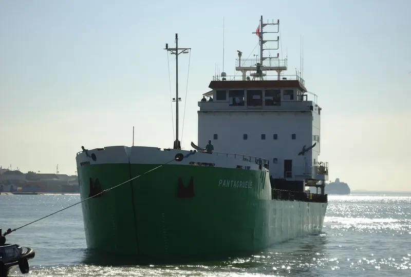 PANTAGRUELE General Cargo IMO 7816288 photo 4