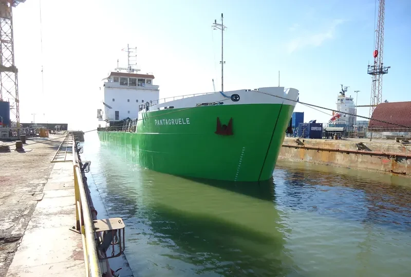 PANTAGRUELE General Cargo IMO 7816288 photo 5