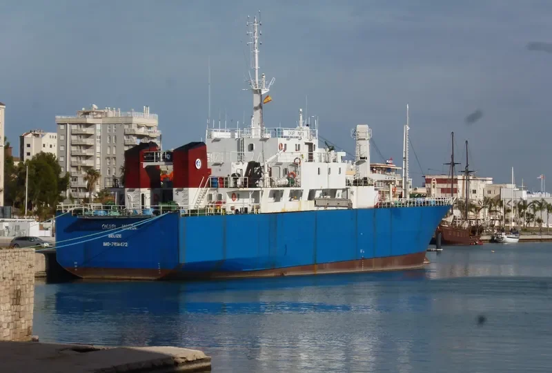 OKAPI MARTA General Cargo IMO 7816472 photo 8