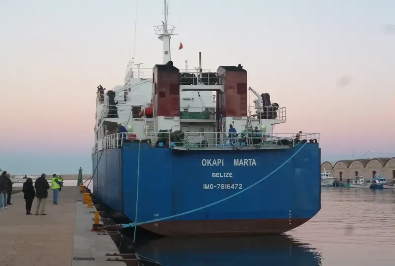 OKAPI MARTA General Cargo IMO 7816472 photo 9