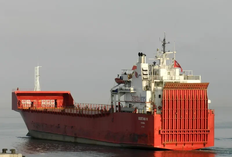 BOSTAN N Ro-Ro IMO 7816501 photo 2