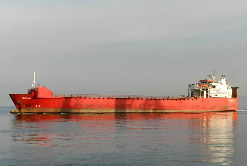 BOSTAN N Ro-Ro IMO 7816501 photo 3