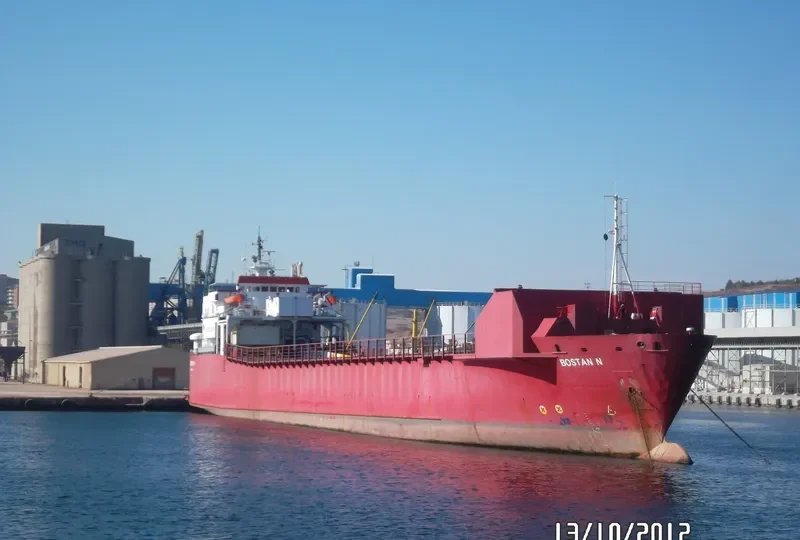 BOSTAN N Ro-Ro IMO 7816501 photo 5