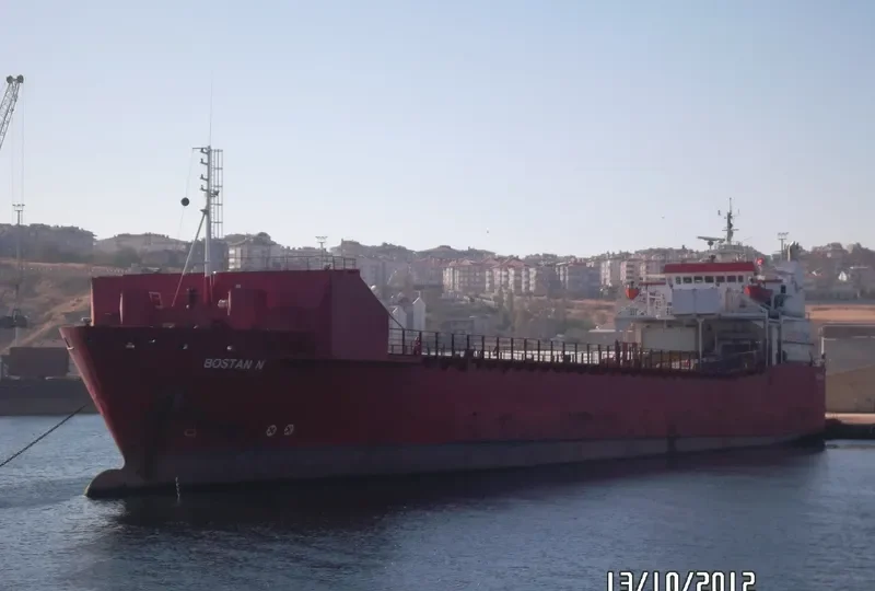 BOSTAN N Ro-Ro IMO 7816501 photo 6