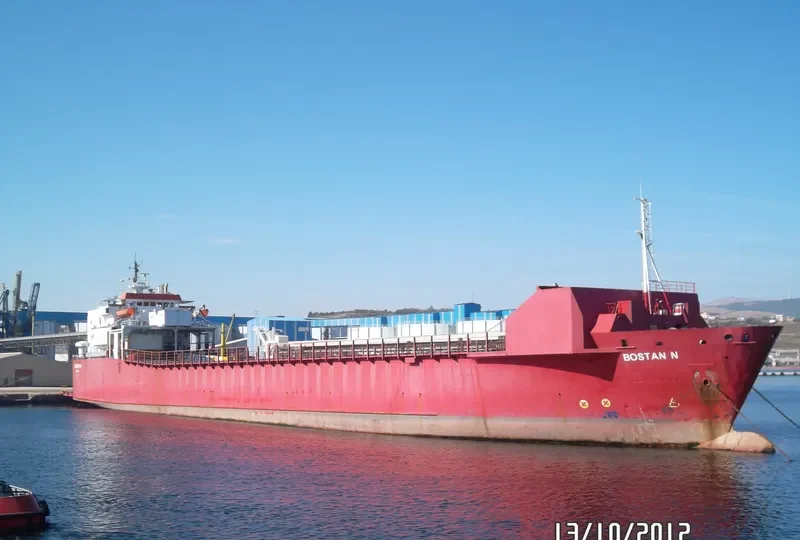 BOSTAN N Ro-Ro IMO 7816501 photo 7