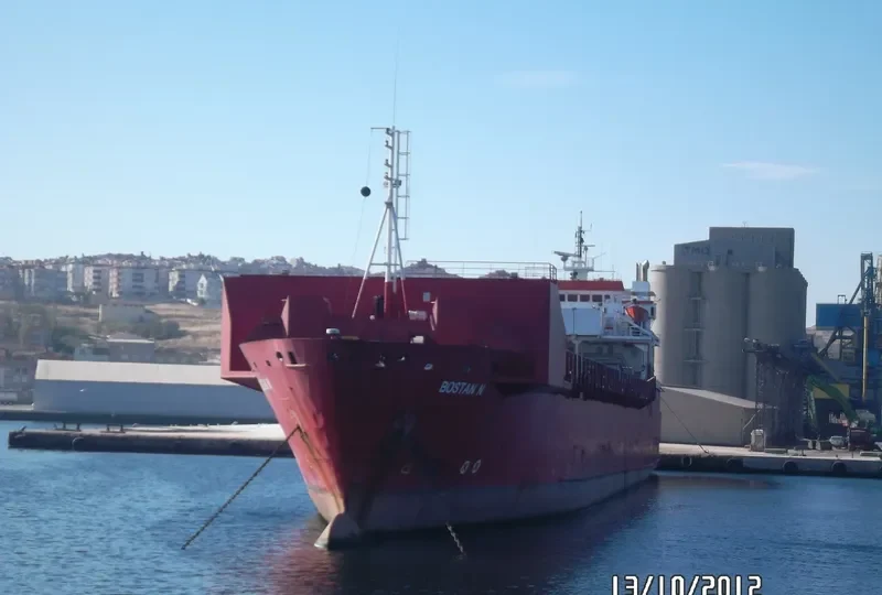 BOSTAN N Ro-Ro IMO 7816501 photo 8