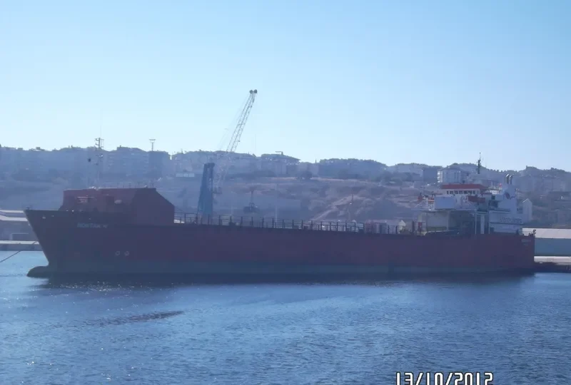 BOSTAN N Ro-Ro IMO 7816501 photo 9