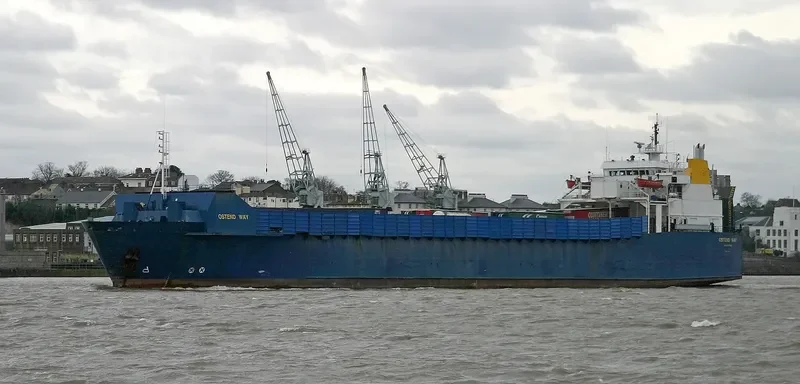 BOSTAN N Ro-Ro IMO 7816501 photo 10