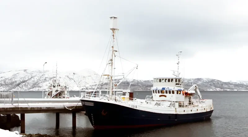 HAVSEL General Cargo IMO 7817256 photo 2