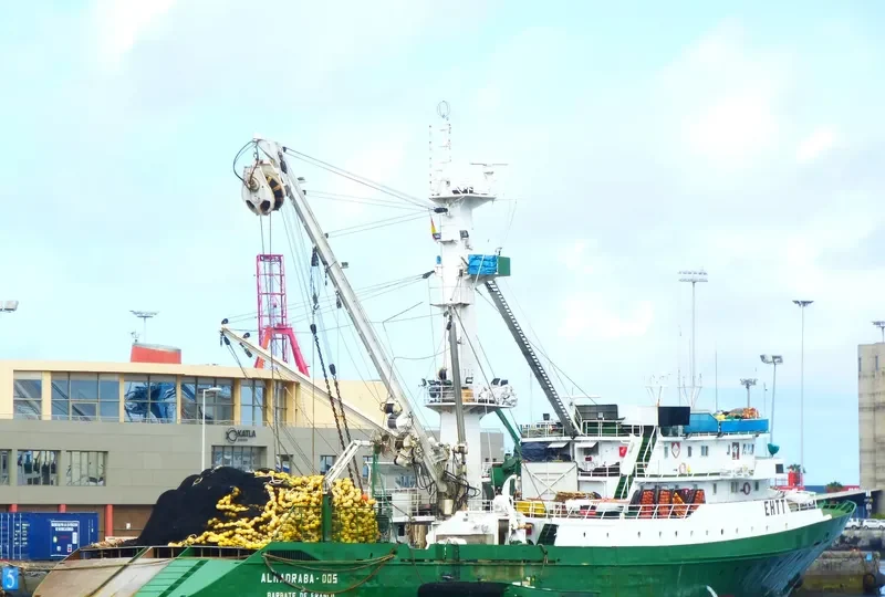 MONTEMAIOR General Cargo IMO 7817323 photo 6