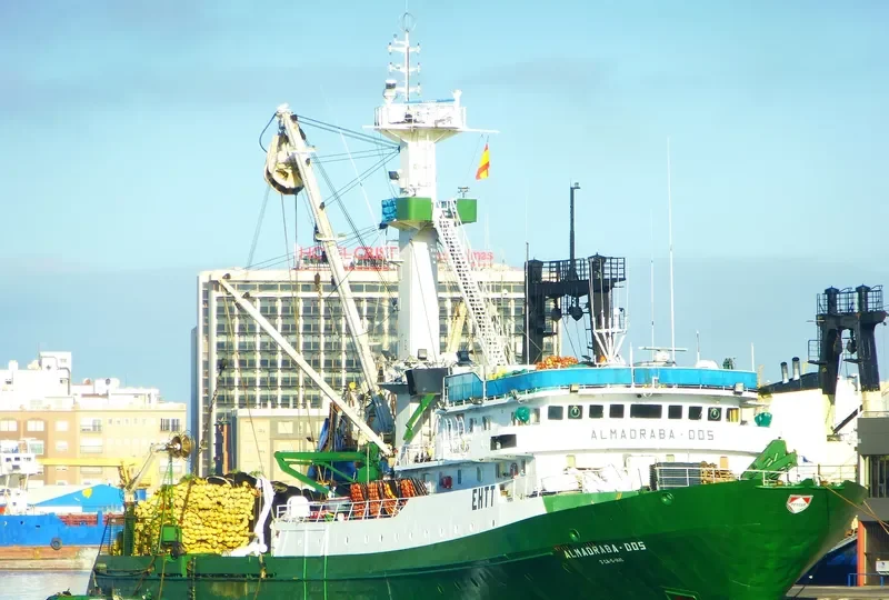 MONTEMAIOR General Cargo IMO 7817323 photo 7
