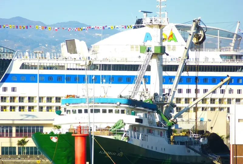 MONTEMAIOR General Cargo IMO 7817323 photo 8