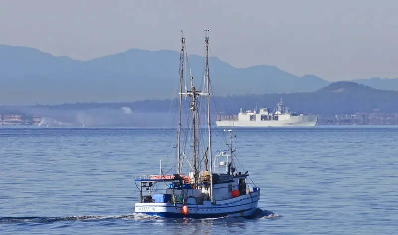 SEA RANGER General Cargo IMO 7817402 photo 3