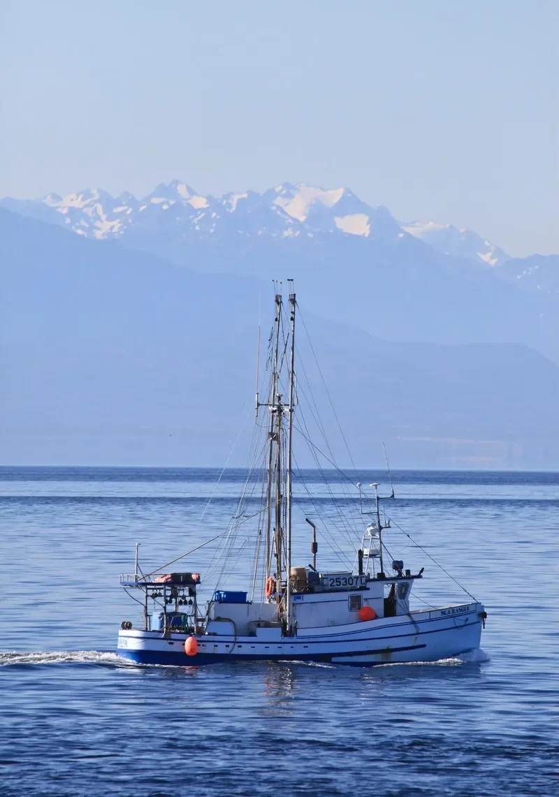 SEA RANGER General Cargo IMO 7817402 photo 4