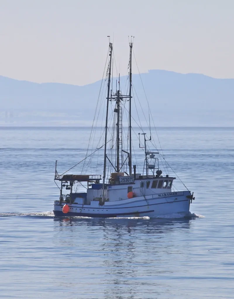 SEA RANGER General Cargo IMO 7817402 photo 5