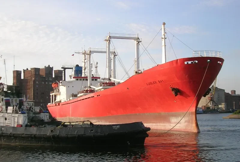 COOLER BAY General Cargo IMO 7818066 photo 2