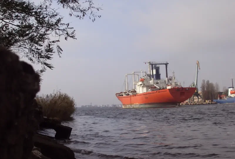 COOLER BAY General Cargo IMO 7818066 photo 3