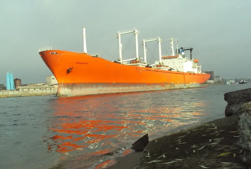 COOLER BAY General Cargo IMO 7818066 photo 5