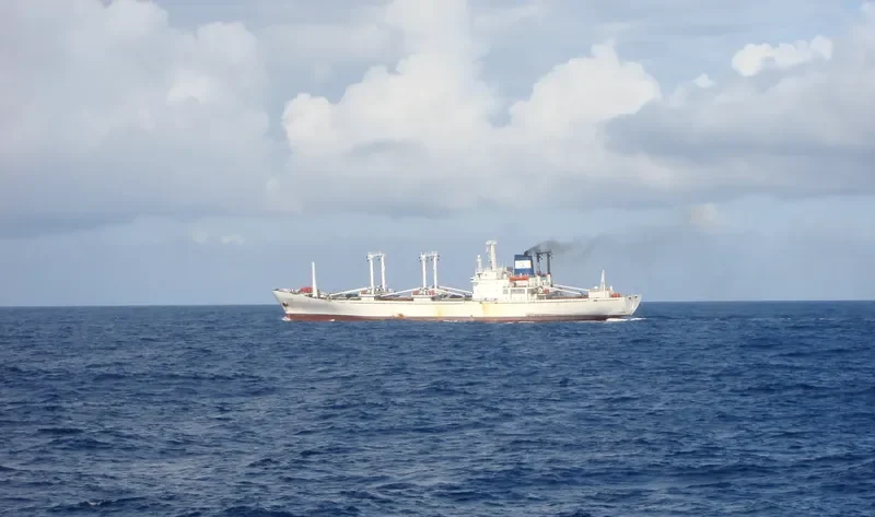 COOLER BAY General Cargo IMO 7818066 photo 7