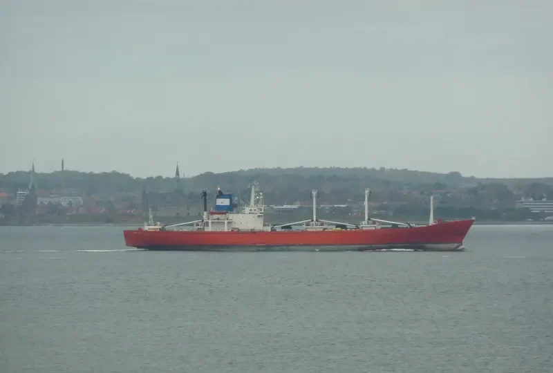 COOLER BAY General Cargo IMO 7818066 photo 8