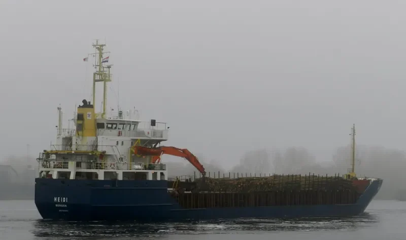 HEIDI General Cargo IMO 7818377 photo 3