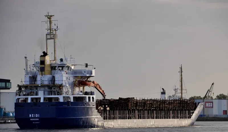 HEIDI General Cargo IMO 7818377 photo 8