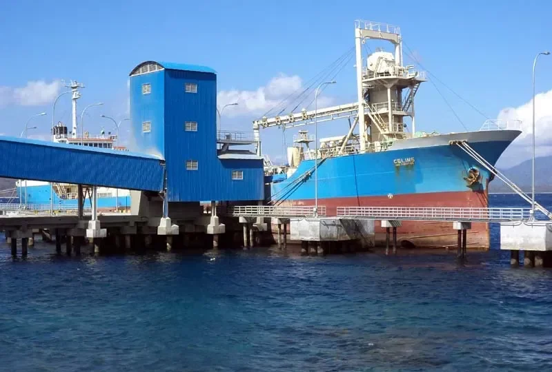 CELINE General Cargo IMO 7818755
