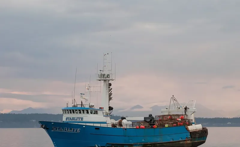 STARLITE General Cargo IMO 7819228