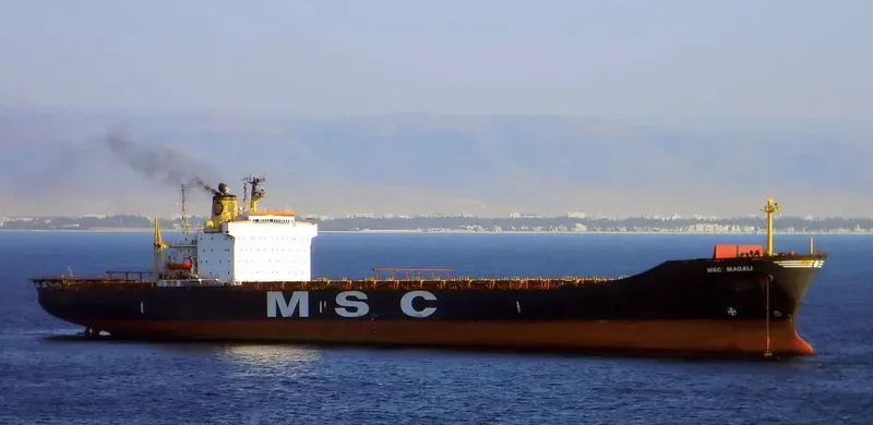 MSC MAGALI Container Ship IMO 7819357 photo 8