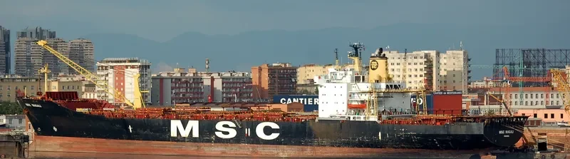MSC MAGALI Container Ship IMO 7819357 photo 10
