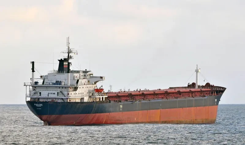 PAGANE Bulk Carrier IMO 7819412