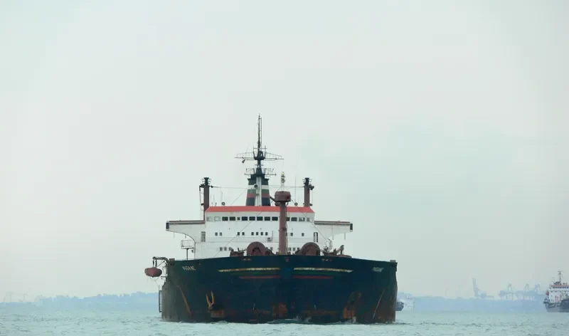 PAGANE Bulk Carrier IMO 7819412 photo 2