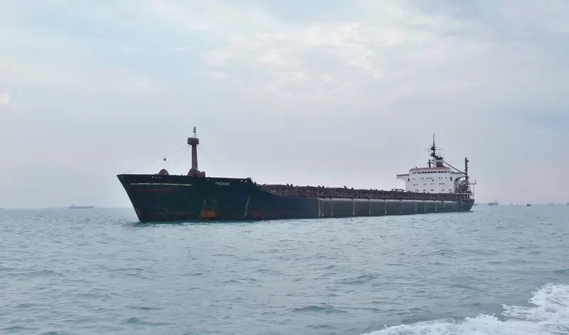 PAGANE Bulk Carrier IMO 7819412 photo 3
