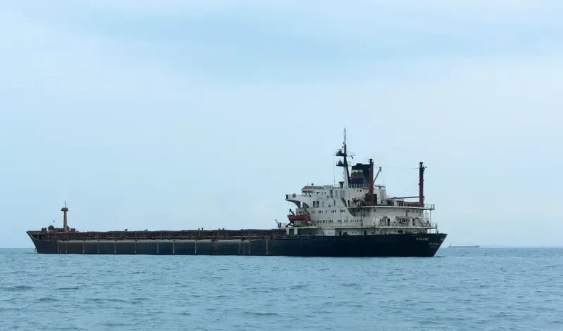 PAGANE Bulk Carrier IMO 7819412 photo 4