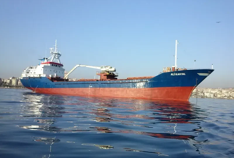 SERVET KA General Cargo IMO 7819450 photo 2