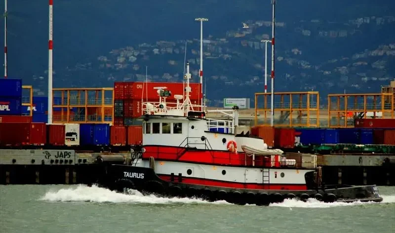 TAURUS General Cargo IMO 7819498 photo 5