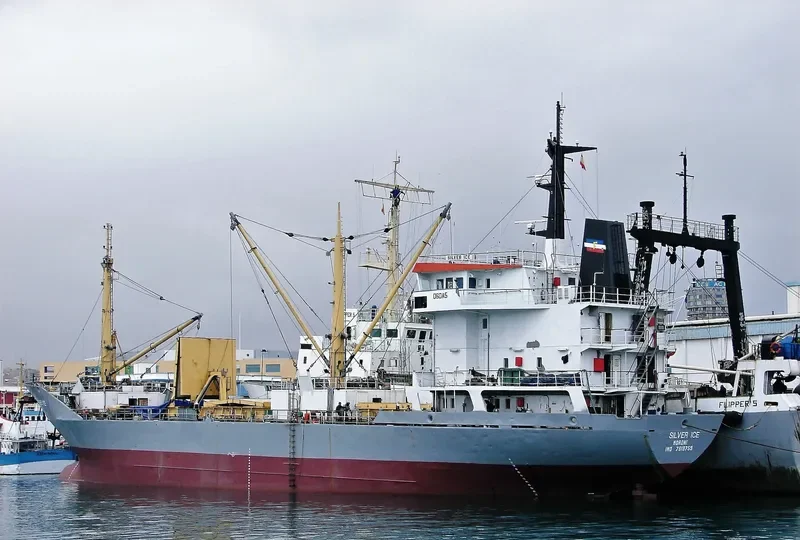 SILVER ICE General Cargo IMO 7819759