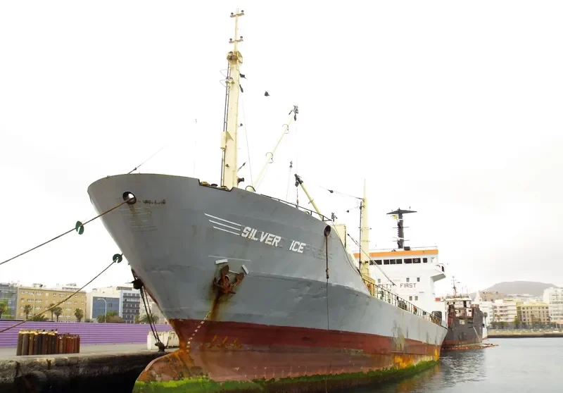 SILVER ICE General Cargo IMO 7819759 photo 6