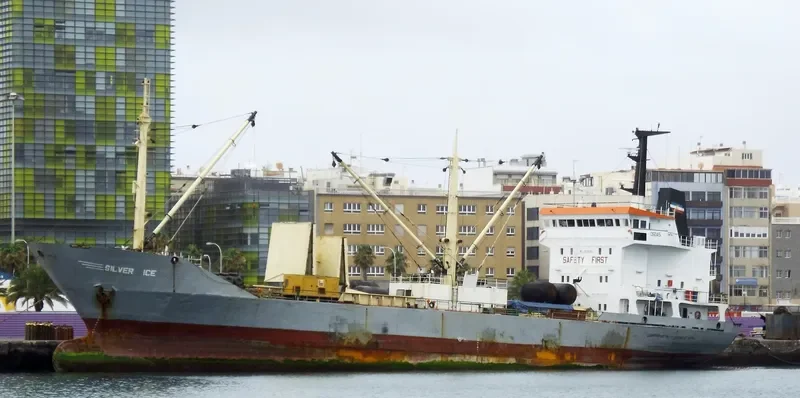 SILVER ICE General Cargo IMO 7819759 photo 7