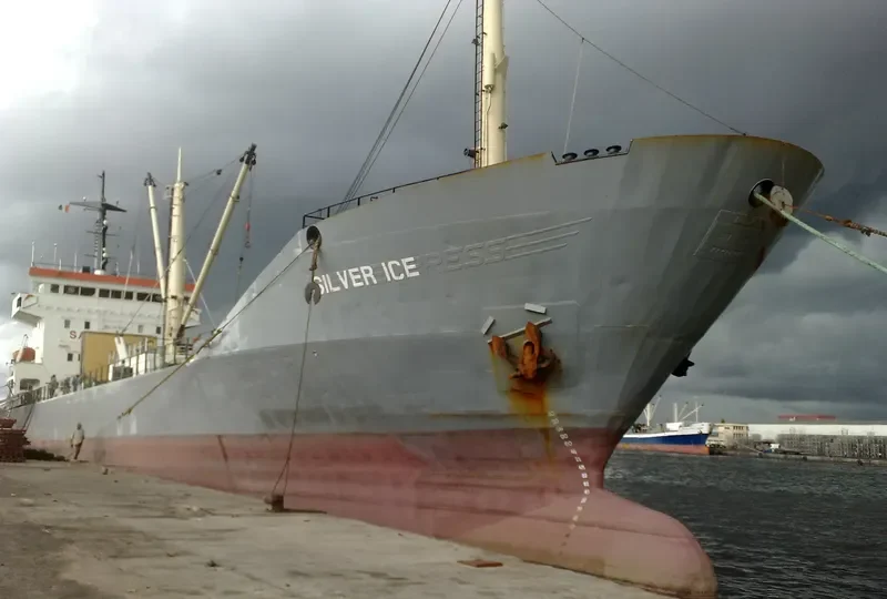 SILVER ICE General Cargo IMO 7819759 photo 10