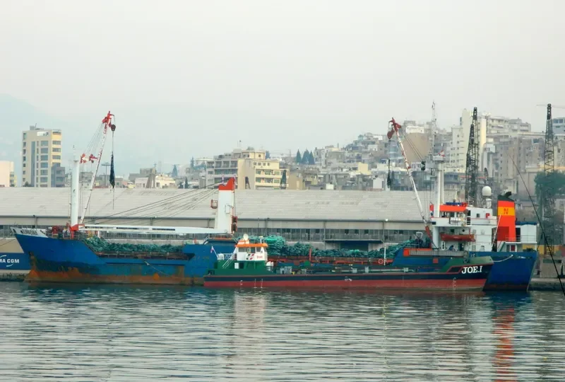 DONNA DINA General Cargo IMO 7819840 photo 5