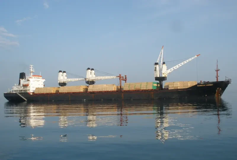 HUMBOLDT CURRENT General Cargo IMO 7819943 photo 3