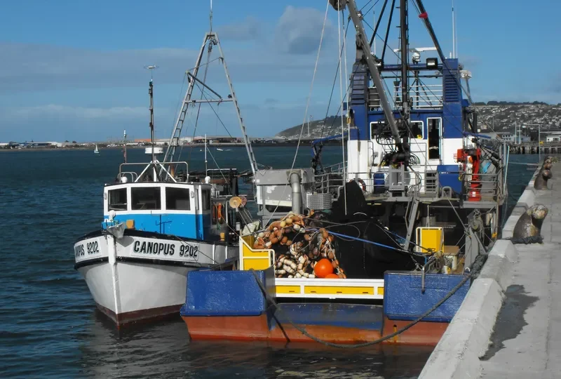 SEAMOUNT ENTERPRISE Fishing Vessel IMO 7820057 photo 4